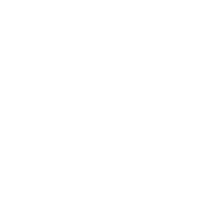 Einkaufswagen Icon